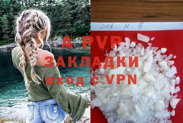 PSILOCYBIN Белоозёрский