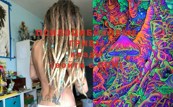 PSILOCYBIN Белоозёрский