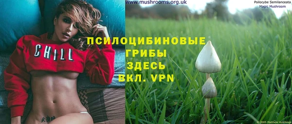 спиды Горно-Алтайск