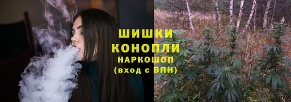 PSILOCYBIN Белоозёрский