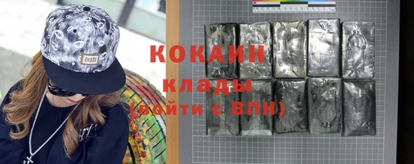 дживик Белокуриха