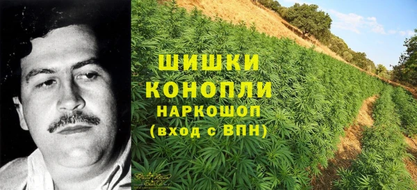 PSILOCYBIN Белоозёрский
